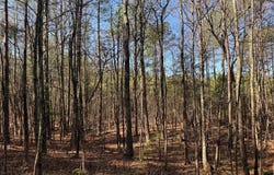 1 MAPLE BRIDGE RD, DILLWYN, VA 23936
