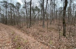 HIGHWAY 55 lot: 0, WILSONVILLE, AL 35186