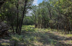601 Mount Olive School Rd, Wimberley, TX 78676