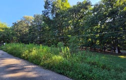 Rolling Hill Drive, Forest, VA 24551