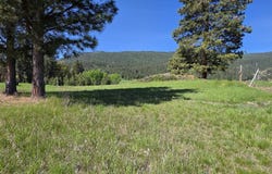 22756 Us Highway 93, Rollins, MT 59931