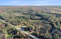 9191 M 33, Avery Twp, MI 49709