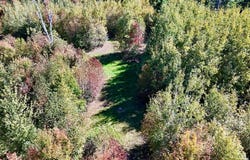 4473 Hamilton Drive, Harrison, MI 48625