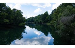 49 S Chinkapin Drive, Pangburn, AR 72121