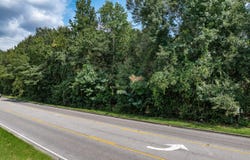 W 4th St, Hattiesburg, MS 39402