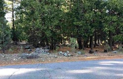 16 Mohave Trail, Graeagle, CA 96103