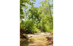 Shelton Road, Willow Springs, MO 65793