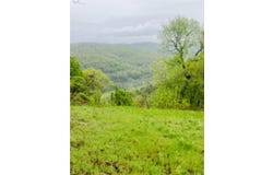 1277 Eagle Point Road, Mountain View, AR 72560