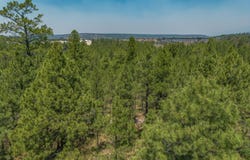 1568 E Sejarez Way, Flagstaff, AZ 86001