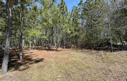 223 Mimosa Drive, Gaston, SC 29053