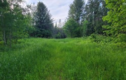 ON BRADY LN, Elcho, WI 54428