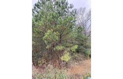 ARMSTRONG LOOP lot: 0, HAYDEN, AL 35079