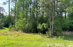 NHN Moss Circle, Carriere, MS 39426