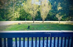 471 Nottley River Road, Murphy, NC 28906