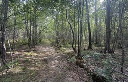 2275 Graham Road, Thaxton, MS 38871