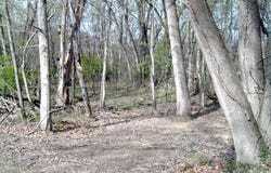 EMERALD Drive lot: 23, FALLING WATERS, WV 25419