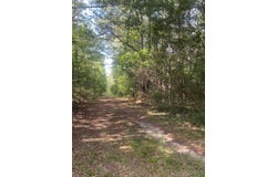 E Town Road, Tuskegee, AL 36083