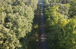 Juno Bargerton Rd, Lexington, TN 38351