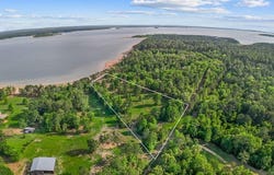7807 County Road 447, Bronson, TX 75931