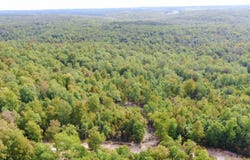 Db Tract 23, Pomona, MO 65789