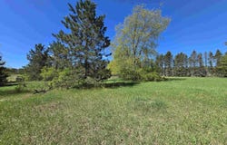 N 3 Road, Mesick, MI 49668