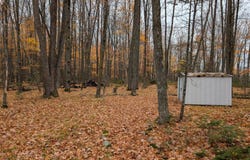 2514 E PELICAN HILLS TRL, Pelican Lake, WI 54463