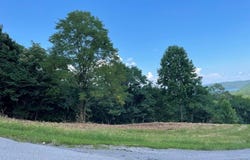 Goose Rd lot: 57A, Hilham, TN 38568