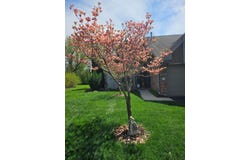 1489 Grand Isle Court, Hobart, IN 46342