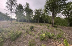 Sheep Ranch Rd, Robbins, TN 37852