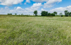 295 Turkey Run Road, Crawford, TX 76638