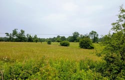 196 Gabriel Road, Cochecton, NY 12726