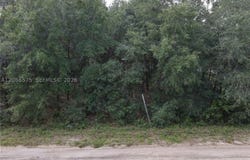 104 Gunner Ave, FL 32148