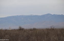 IRON ROSE Road, Willcox, AZ 85643