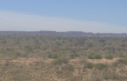 9972 Cattleman Road, Holbrook, AZ 86025