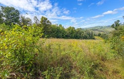 Boyd Ridge Rd., Bellaire, OH 43906