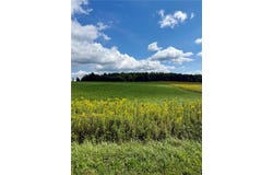 Tucker Road E, Campbell, NY 14821