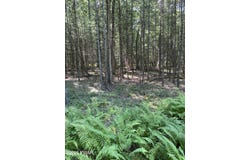 Cricket Hill Road lot: 35, Hawley, PA 18428