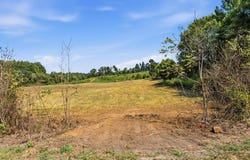 311 W Gooseneck Rd, Doyle, TN 38559