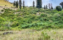 Salmon River Road, Riggins, ID 83549