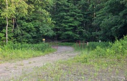 Osceola Rd, Lewis, NY 13489