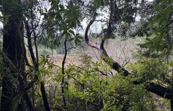 01 Petitt Ln, NorthBend, OR 97459