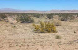 N Joshua Tree Road, Johnson Valley, CA 92285