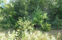 4906 N Clare Avenue, Harrison, MI 48625-0629