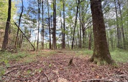 002 Smith Avenue Road, Carthage, MS 39051