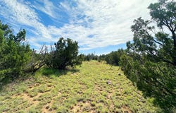 10 Acres On County Road B26D, NM 87569