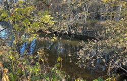SMITH CREEK Road, NEW MARKET, VA 22844