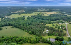 7.10 Acres County Road 44, Section, AL 35771