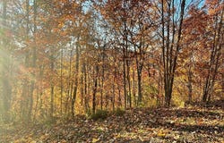 Ridges lot: 58M, Hayesville, NC 28904