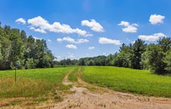 5583 280th Street, Cushing, MN 56443
