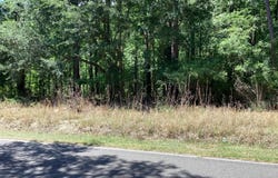 Umbria Road, Moncks Corner, SC 29461